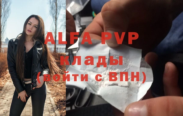 СК Балахна